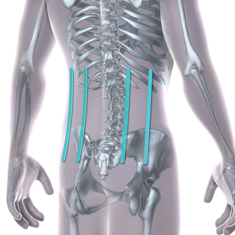 Lumbar Rework Stay Loop Sacro Lumbar Support 2065 - Oppo Health Quality Orthopaedic Supports ...