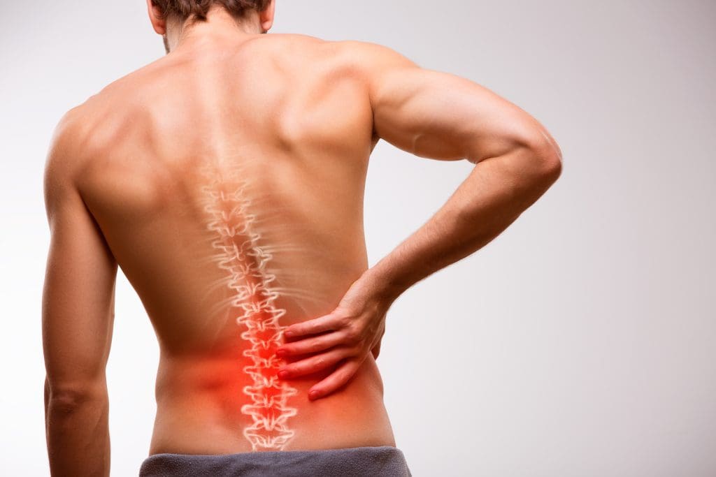Best Back Supports